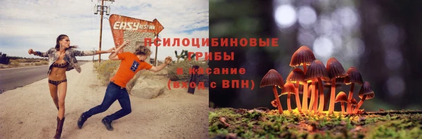 герыч Майский
