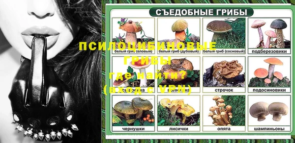 ГАЛЛЮЦИНОГЕННЫЕ ГРИБЫ Лиски