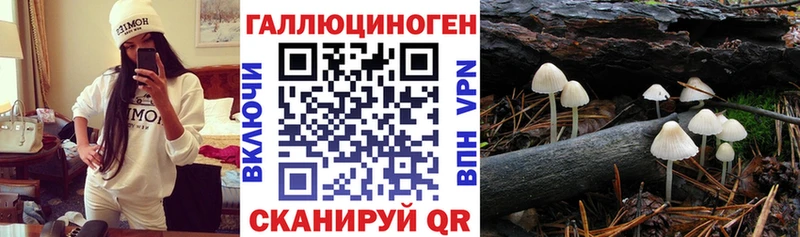 blacksprut ТОР  цена наркотик  Куровское  Галлюциногенные грибы Magic Shrooms 