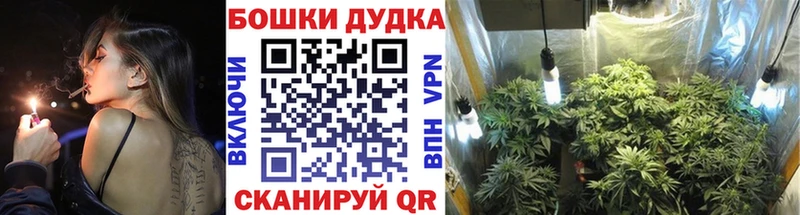 Конопля планчик  маркетплейс какой сайт  Куровское  KRAKEN зеркало 